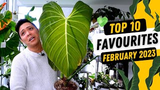 Top 10 Favourite Plants 💚 February 2023 🤩 Philodendron Anthurium Hoya Monstera [upl. by Fee61]