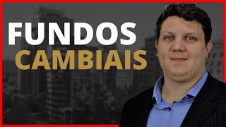 🔴 Fundos Cambiais  4 Dicas Para Você Entender Como Investir em Dolar [upl. by Ydnem]