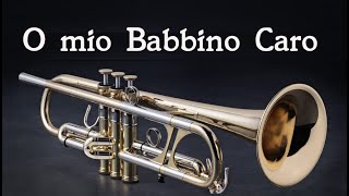 O mio Babbino Caro [upl. by Louis]