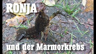 Ronja und der Marmorkrebs [upl. by Huebner]