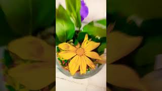 Dry colour rice flower pot 🏺 [upl. by Braden15]