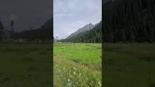 Beautiful minimarg road bollywood shorts short minimarg trending shortsvideo [upl. by Karina]