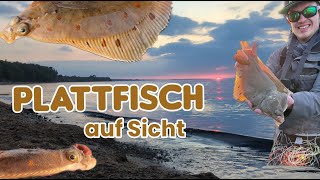 Fliegenfischen gezielt auf Plattfisch an der Ostsee [upl. by Ithaman]