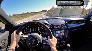 2020 Ford Mustang Shelby GT350R  POV Driving Impressions [upl. by Noyahs48]