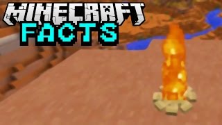 UNSICHTBARES ITEM  Minecraft Facts 54  ConCrafter [upl. by Burd5]