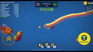 Wormszoneio🐍 Pro Worm Battle Gameplay 207 Best worms game 001 [upl. by Akerley]