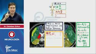 NEUROLOGÍA Esquemas de repaso Qx Medic 2023 [upl. by Pilihp23]