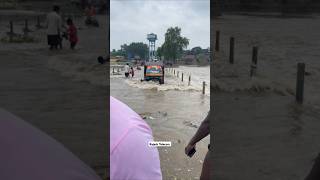 बाढ का कहर shorts ganga बाढ़ flood [upl. by Terza]