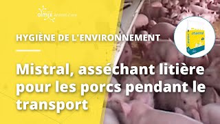 Mistral asséchant litière pour les porcs pendant le transport [upl. by Lynde]