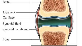 USMLE Medical Video Lectures about Synovial Fluid Analysis by UsmleTeam [upl. by Edelman818]