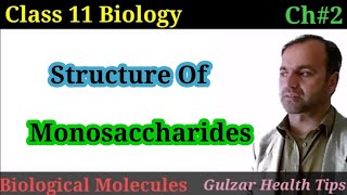 Structure of monosaccharides  Classification of Carbohydrates class 11 [upl. by Abbye]