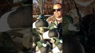 New Bluebill Duck Decoys thefluffypoodle [upl. by Nuncia927]