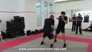 SAMI Combat Systems  Panantukan Concept  Trainer Practice for instruction [upl. by Caiaphas859]