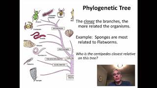 Chapter 10 Classification Part 2 [upl. by Rutledge]