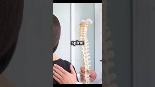 Never ignore these signs of Spine Injury spineadjustment spine [upl. by Aneet]