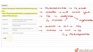 Assertion Photorespiration interfers with successful functioning of calvin cycle Reason Photo [upl. by Gorton]