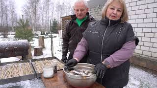 карасі на соломі у дровяній печі  Сімейний рецепт готуємо Людмила Хомутовская Live [upl. by Alenairam416]