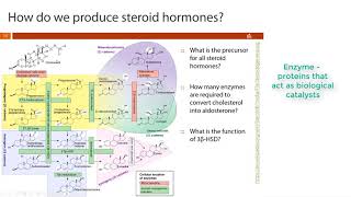 Nursing Chem  Lipids Part 2  Steroids amp Eicosanoids [upl. by Hacceber316]