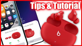 How To Use The Beats Studio Buds Tips Tutorial amp Review iPhone amp Android [upl. by Ranson]