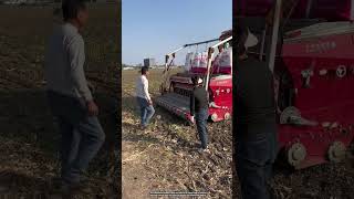 The process of loading a heavy fertilizer bag [upl. by Irrej758]