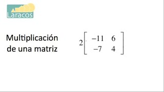 Multiplicación de una matriz [upl. by Midis454]