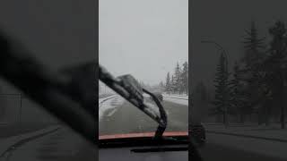 First Snowing in Edmonton Alberta Canada 🇨🇦 edmonton canadianprovince edmontonalberta canadapark [upl. by Katushka]