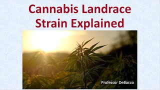 Cannabis Landrace Strain Explained [upl. by Aivad]