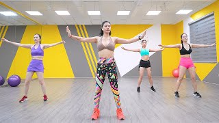 23 Minute Exercise Routine To Lose Belly Fat  Zumba Class [upl. by Erehpotsirhc37]