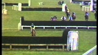 1987 Lorraine Chase Novices Handicap Chase [upl. by Oringas]