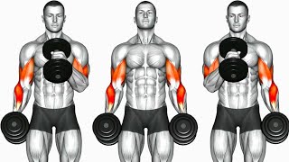 Biceps Workout 6 Best Exercises to build Strong Bicep [upl. by Resa627]