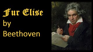 Fur Elise by Beethoven  The Classics Collection [upl. by Ekrub]