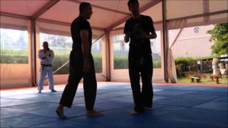 Pencak Silat and Aikido Applications Isam Milano FISAM Milano [upl. by Eblehs]