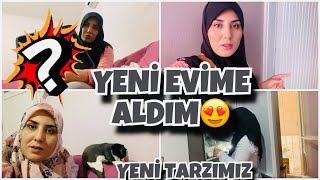 YENİ EVE ALDIMKOLTUK AYAKLARINA KARAR VERDİMYENİ TARZIMIZ [upl. by Afra973]