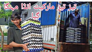 Eggs business Andy ka karobar kasy KaryKalia rate eggs [upl. by Ainomar]