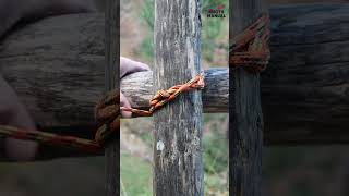 Every scout should know how to tie the Diagonal Lashing Knot shorts knots scouts [upl. by Aihseket]