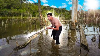 LARGADOS E PERDIDOS  TENTANDO CONSEGUIR ALIMENTO NO MANGUEZAL [upl. by Issak280]