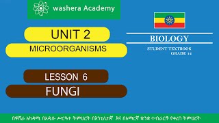 BIOLOGY GRADE 12 UNIT 2 LESSON 6 FUNGI [upl. by Nevarc]