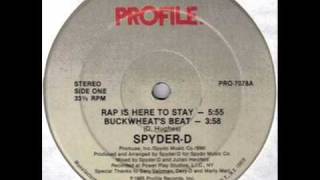 SpyderD  Rap Is Here To Stay Instrumental [upl. by Atibat600]