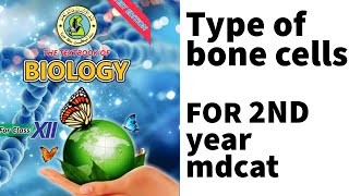 Bone cell Osteoblast l Osteocytes l Osteoclast l Sindh text Braod Book l for 2nd year and Mdcat [upl. by Kondon628]