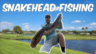 Snakehead Fishing In South Florida Monster Catch [upl. by Lovash]