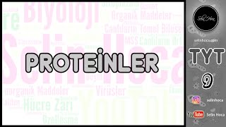 5 Proteinler [upl. by Erehpotsirhc]