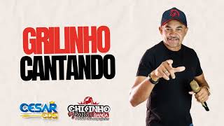 GRILINHO  CHIKINHO DO FORRO SETEMBRO 2024  CESAR CDS [upl. by Kcirttap255]