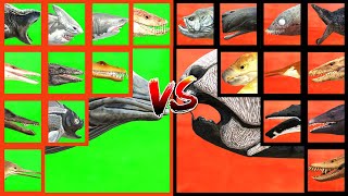 AQUATIC TOURNAMENT Mosasaurus VS Megalodon VS Arganodus VS Tylosaurus VS Acrophyseter in ARBS [upl. by Ennazor]