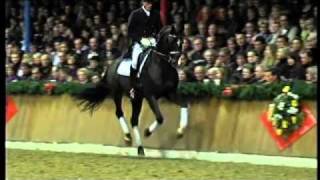 Stedinger 2000 by Sandro Hit  Landadel Stallion Show Sosath 2011 [upl. by Garate123]