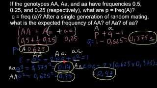 How to find expected genotype frequency Hardyweinberg formula explained [upl. by Ecirtel]