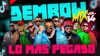 DEMBOW MIX VOL 14 🎵 LOS DEMBOW QUE MAS SUENAN EN TIKTOK Y LA CALLE 2O23 🎤 MEZCLADO POR DJ ADONI [upl. by Kirrad371]