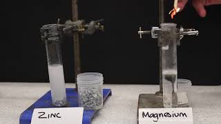 Making Salts From Acids amp Metals GCSE Chemistry [upl. by Ziza]