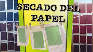 Como SECAR el papel RECICLADO en CASA  Papel en coma [upl. by Ila86]