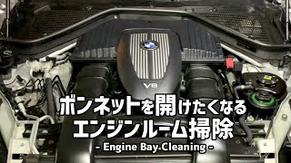 【ずぶ濡れにしない】エンジンルームを綺麗に Quick Cleaning on engine bay on BMW X5 E70 2008 [upl. by Zehc153]