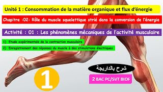 Rôle du muscle squelettique strié dans la conversion de lénergie 2 bac pcsvt biof شرح بالداريجة [upl. by Ellyn]